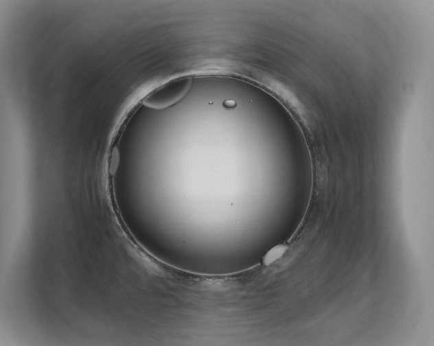 X0000111391480200907101136