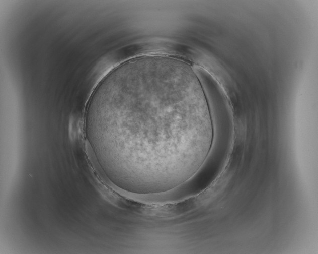 X0000111391481200907101136