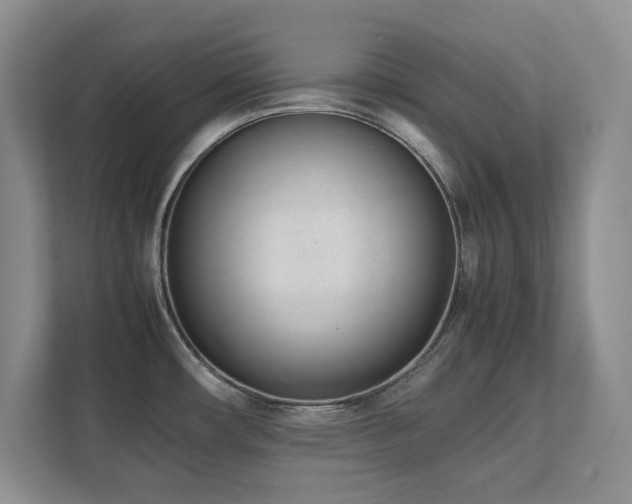 X0000111391482200907101136