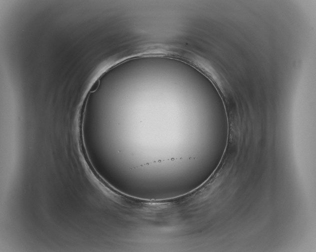 X0000111391483200907101136