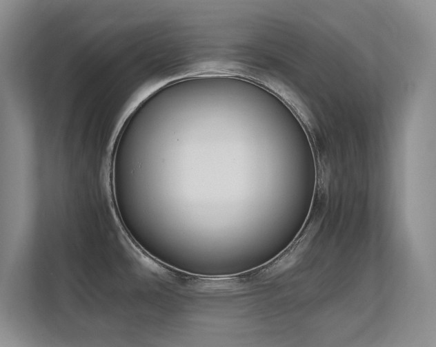 X0000111391486200907101136