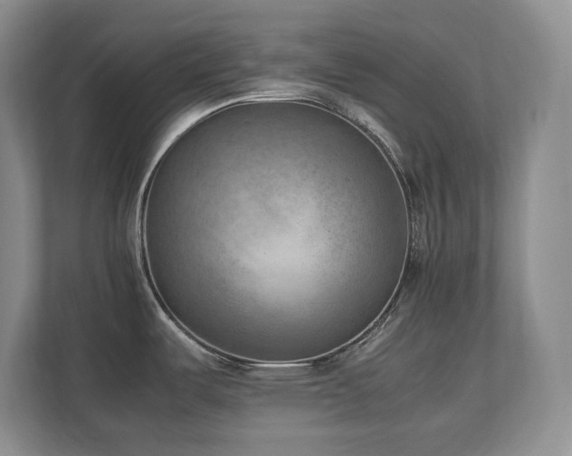 X0000111391487200907101136