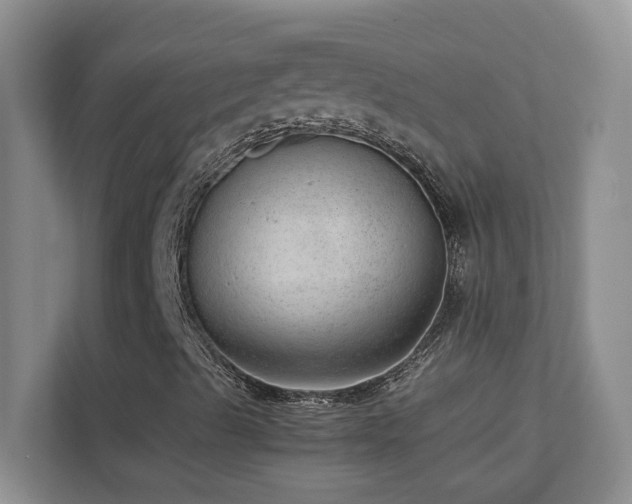 X0000111391489200907101135