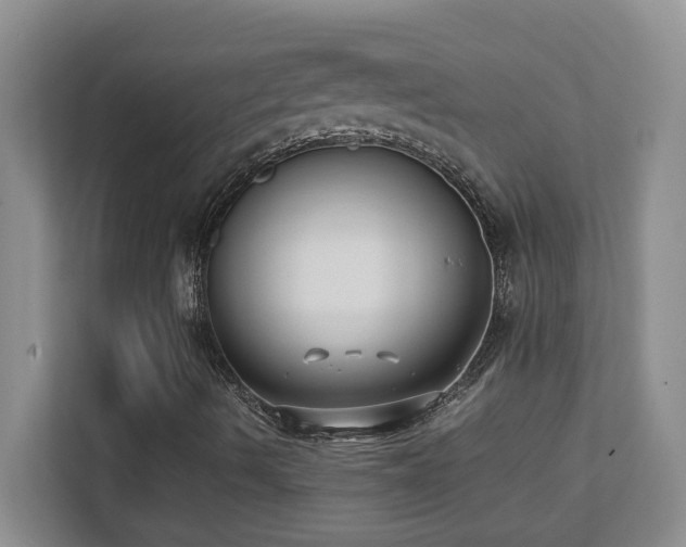 X0000111391490200907101135
