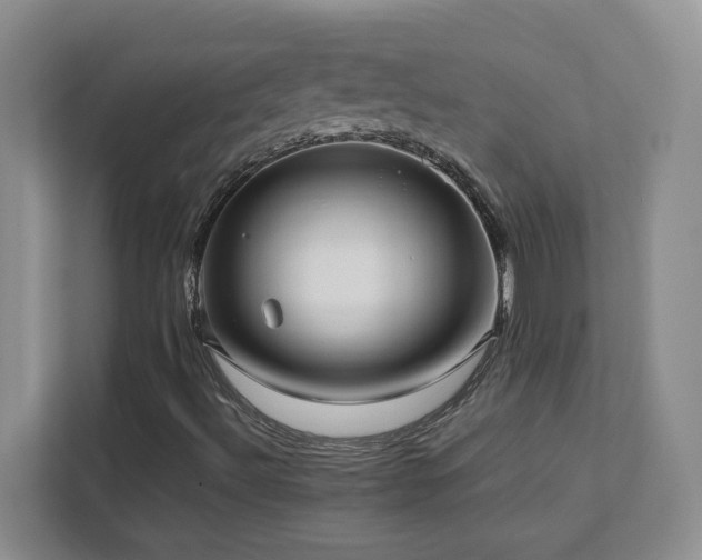 X0000111391492200907101135