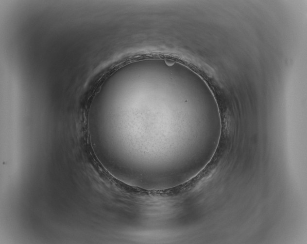 X0000111391494200907101135