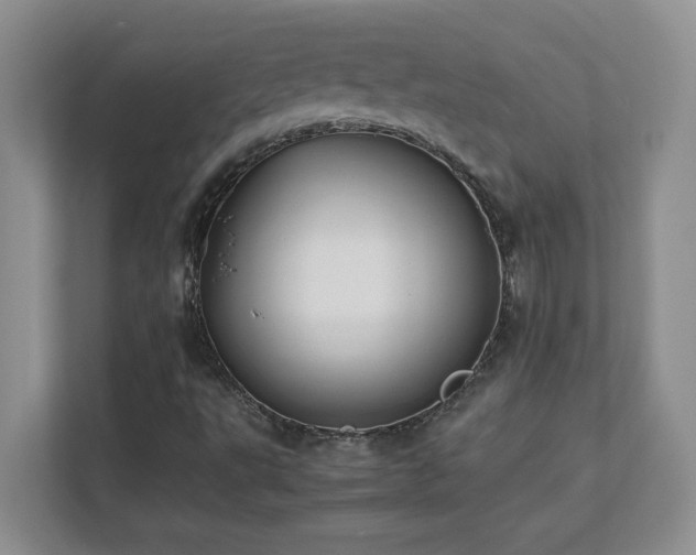 X0000111391495200907101135