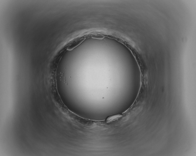 X0000111391496200907101135