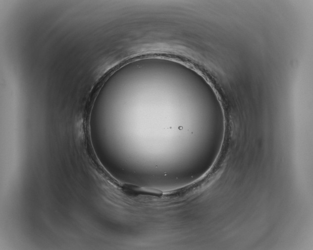 X0000111391497200907101135