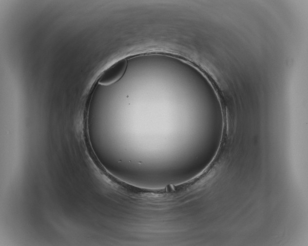 X0000111391500200907101135