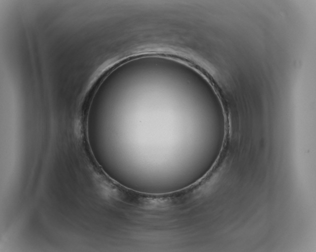 X0000111391501200907101135