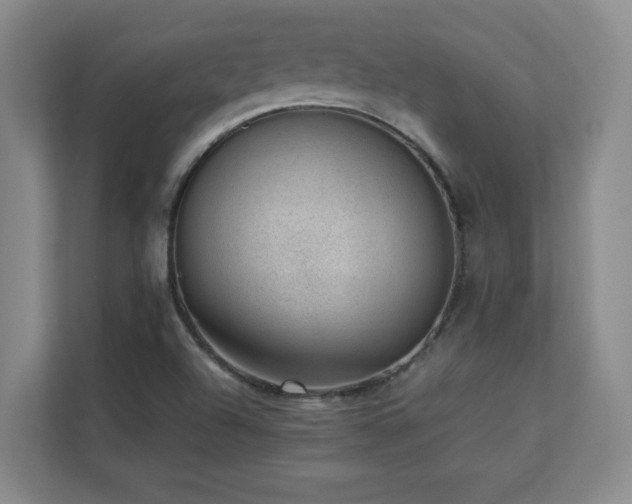 X0000111391504200907101136