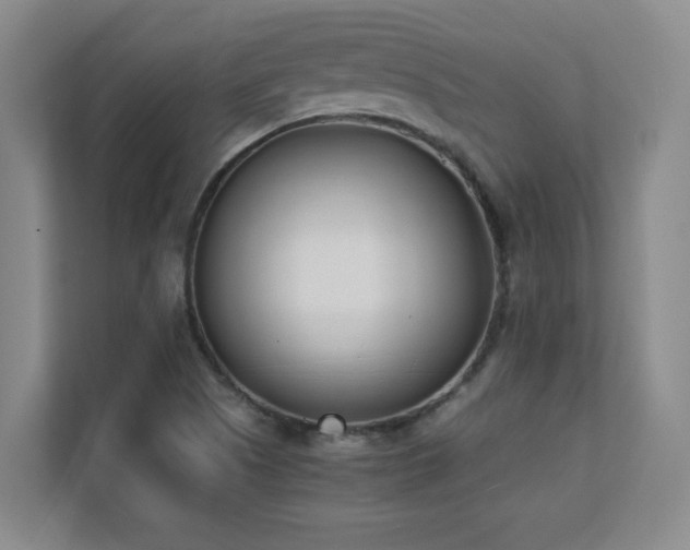 X0000111391505200907101136