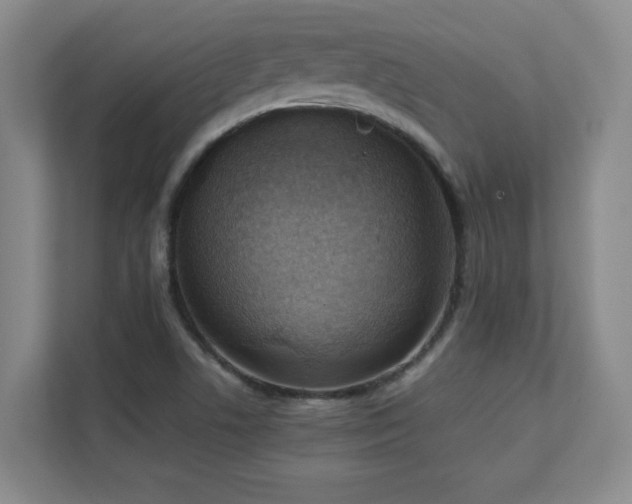 X0000111391506200907101136