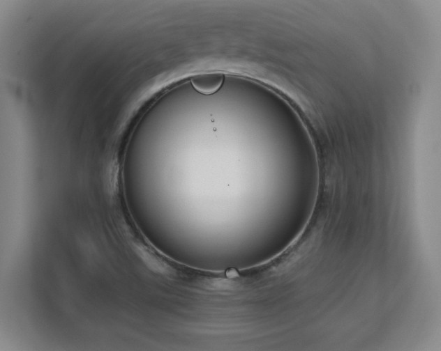 X0000111391507200907101136