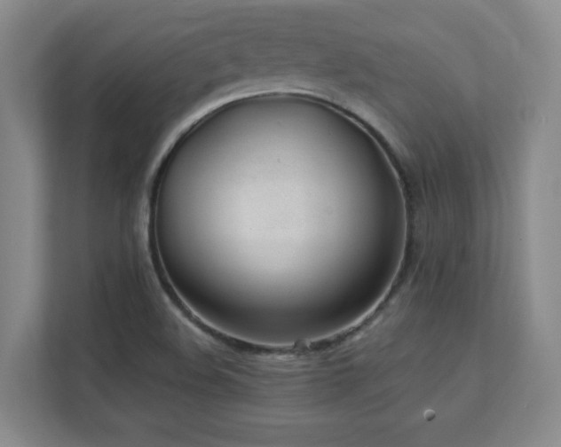 X0000111391508200907101136