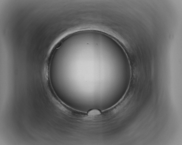 X0000111391510200907101136