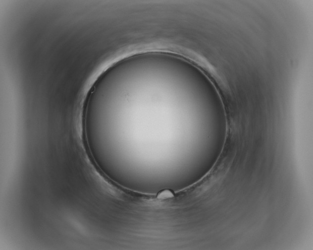 X0000111391512200907101136
