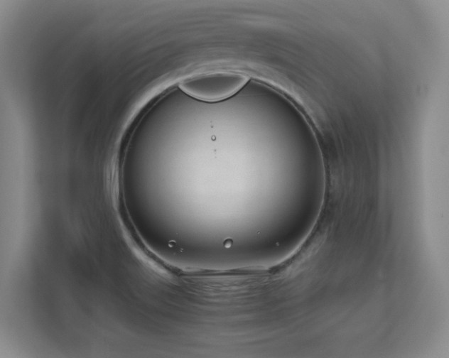 X0000111391515200907101136