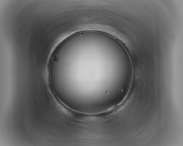 X0000111391517200907101136