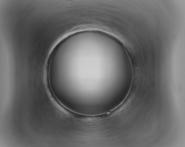 X0000111391518200907101136