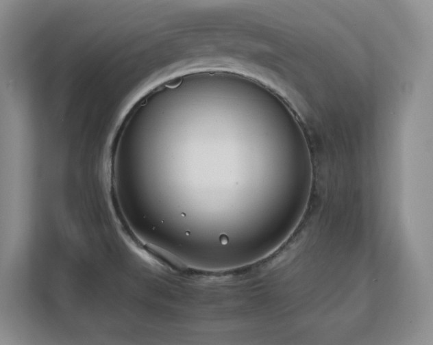 X0000111391519200907101136