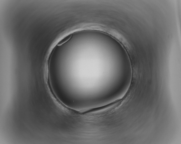X0000111391520200907101136