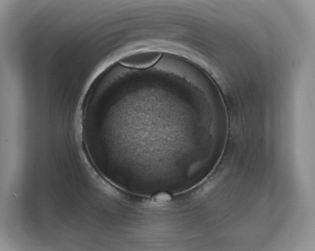 X0000111391522200907101136