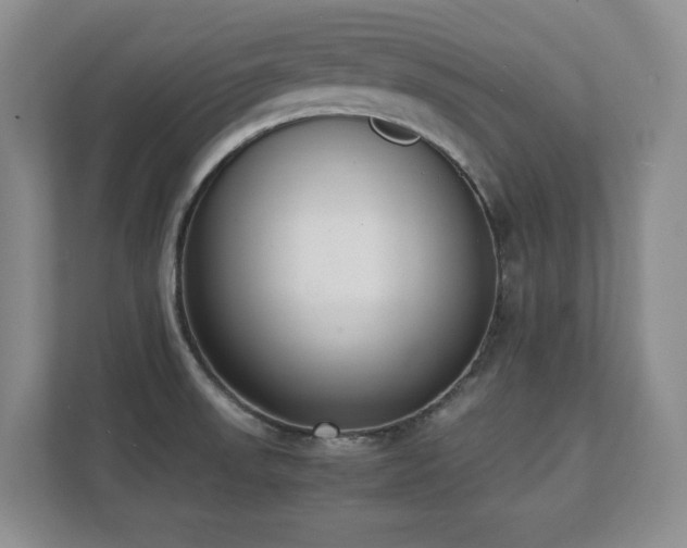 X0000111391523200907101136