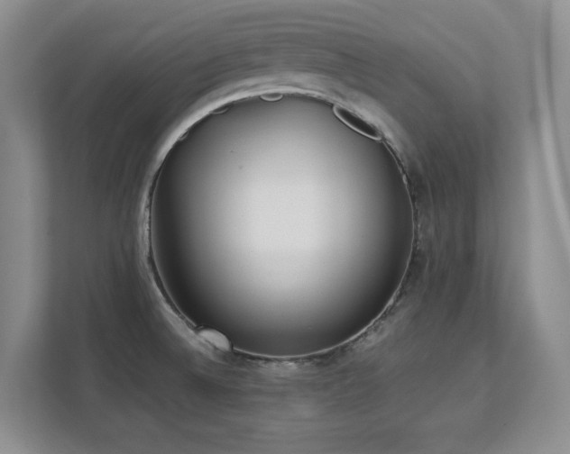 X0000111391524200907101136