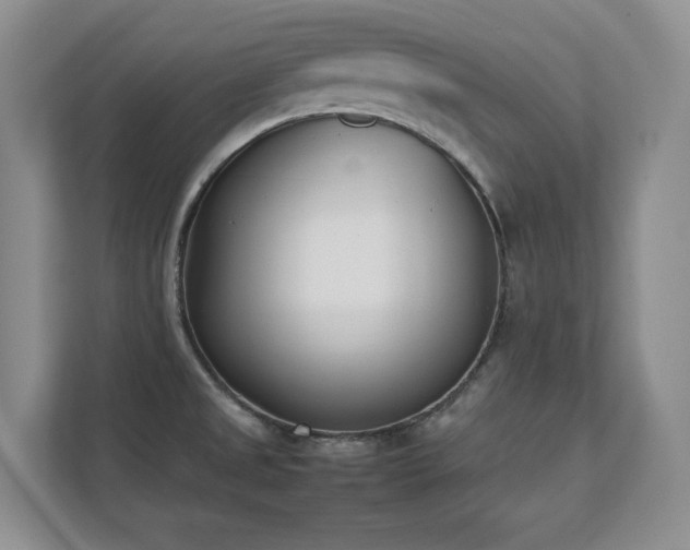 X0000111391525200907101136
