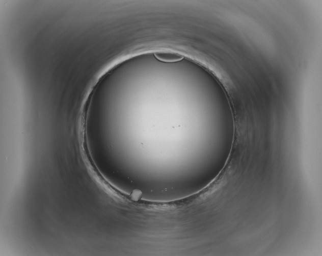 X0000111391526200907101136
