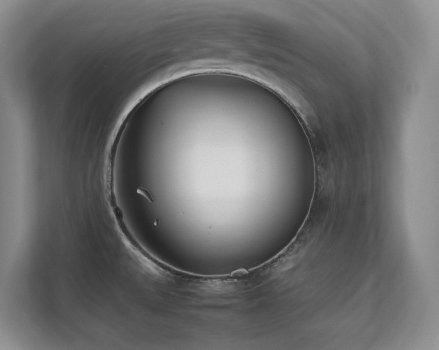 X0000111391527200907101136