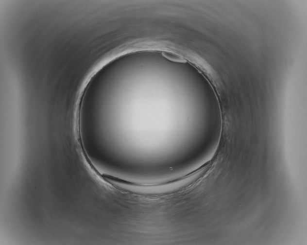 X0000111391528200907101136