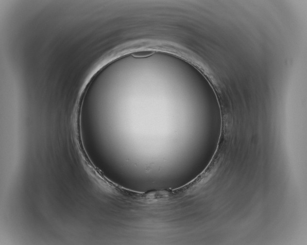 X0000111391530200907101136