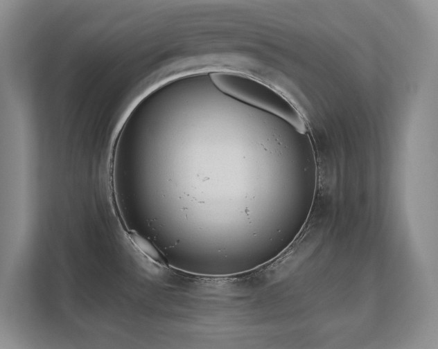 X0000111391532200907101136