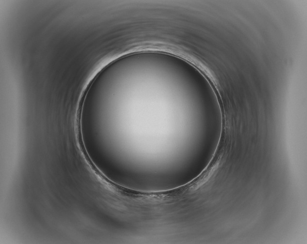 X0000111391533200907101136