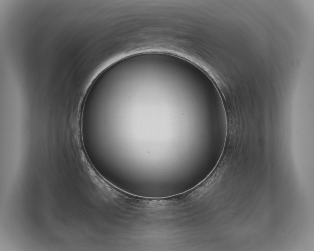X0000111391534200907101136
