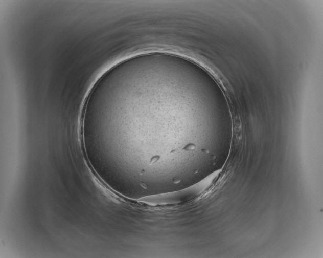 X0000111391535200907101136