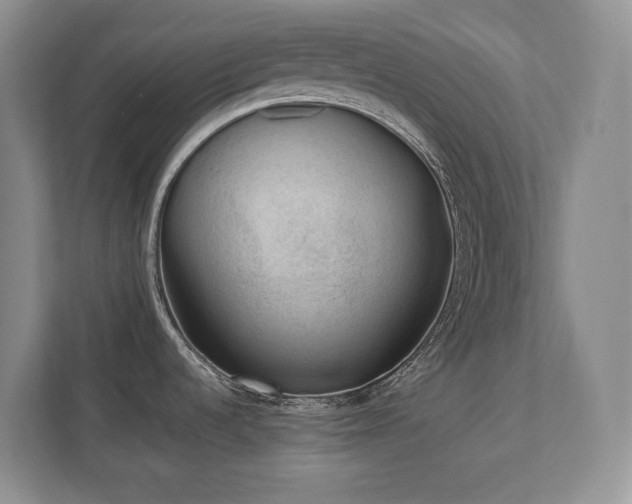 X0000111391536200907101136