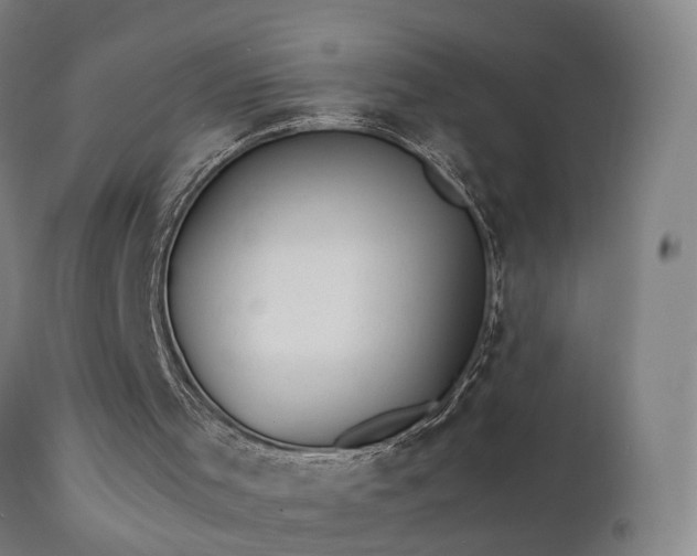 X0000111390001200907171257