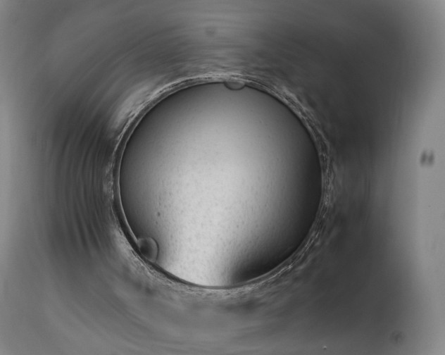 X0000111390002200907171257