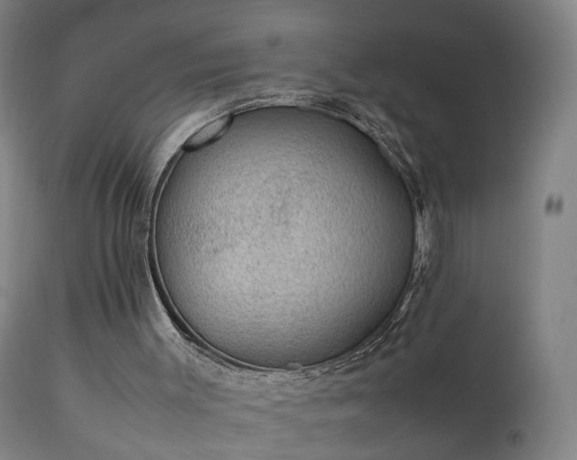 X0000111390003200907171257