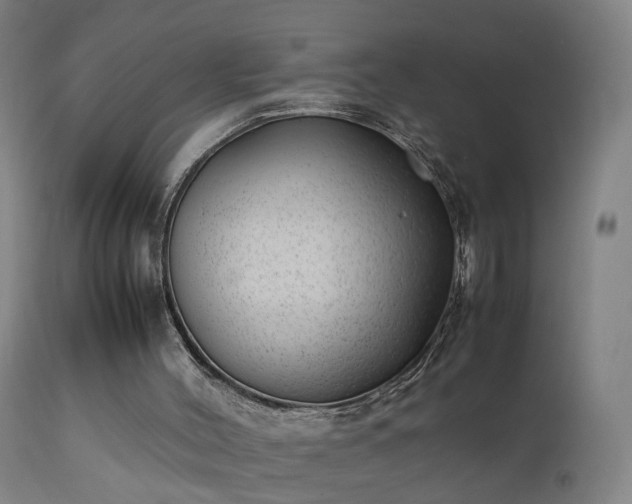 X0000111390004200907171257