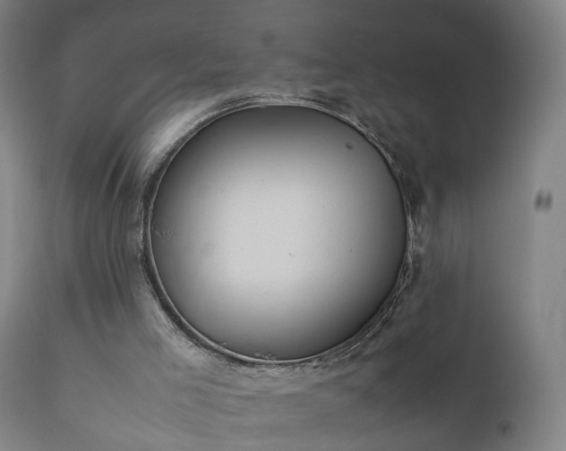 X0000111390005200907171257