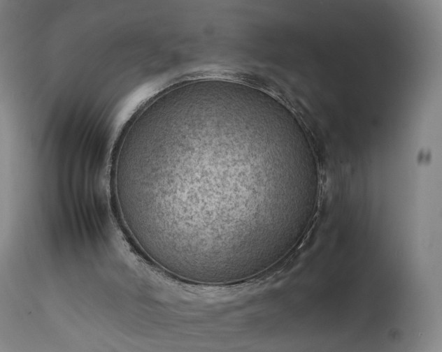 X0000111390006200907171257