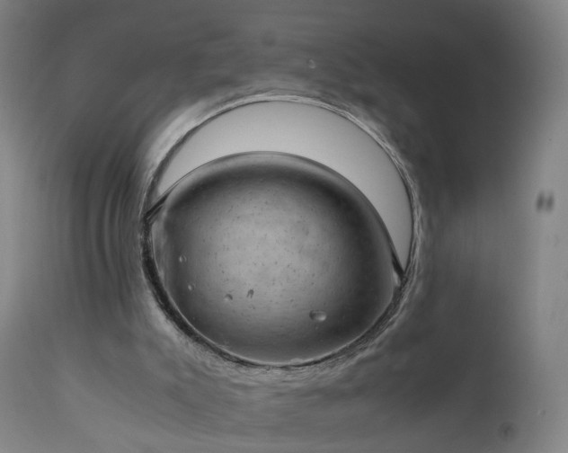 X0000111390007200907171257