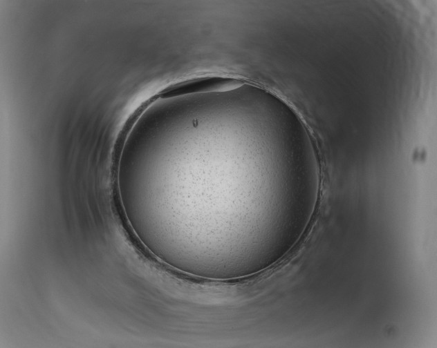 X0000111390008200907171257