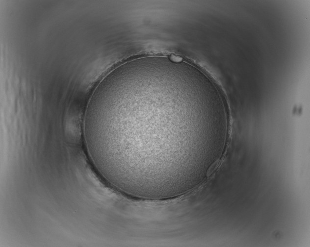 X0000111390009200907171257