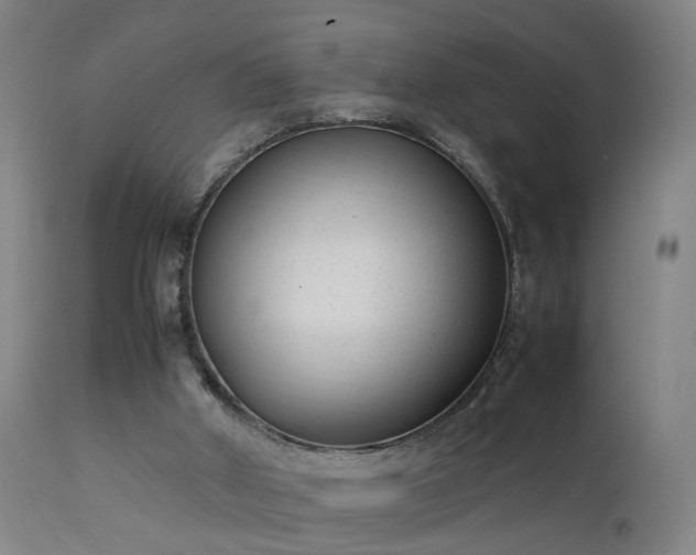 X0000111390010200907171257